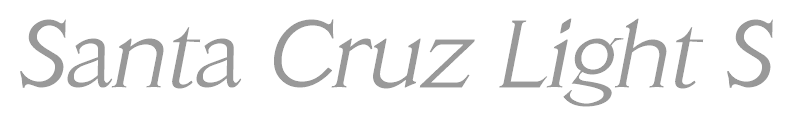 Santa Cruz Light SF