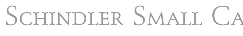 Schindler Small Caps