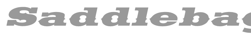 SaddlebagExtended