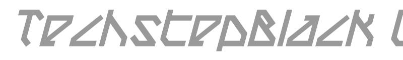 TechstepBlack Oblique