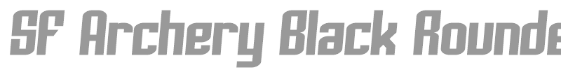 SF Archery Black Rounded