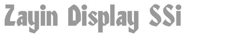 Zayin Display SSi