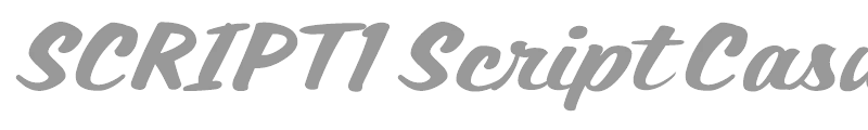 SCRIPT1 Script Casual