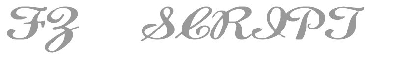FZ SCRIPT 22 EX