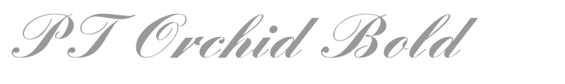 PT Orchid Bold