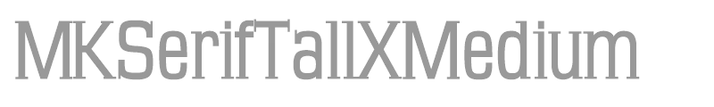 MK Serif Tall Medium