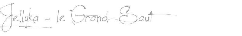 Jellyka - le Grand Saut