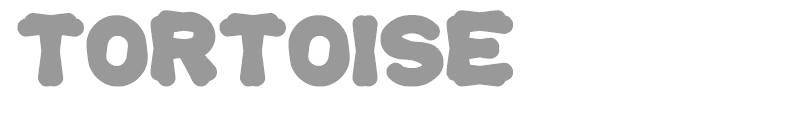 Tortoise