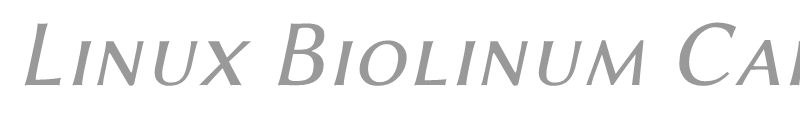 Linux Biolinum Capitals