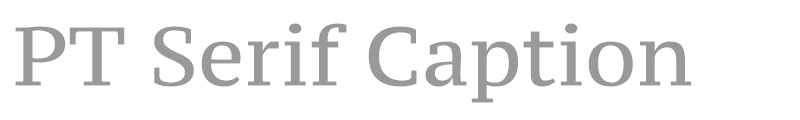 PT Serif Caption