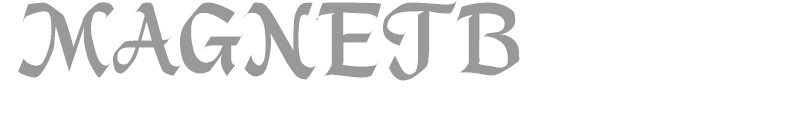 MAGNETB