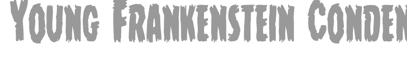 Young Frankenstein Condensed