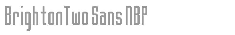 BrightonTwo Sans NBP