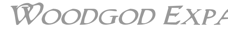 Woodgod Expanded Italic