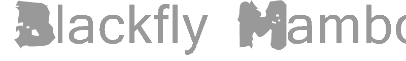Blackfly Mambo