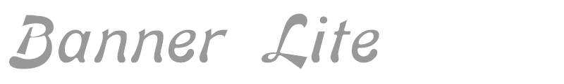 Banner Lite