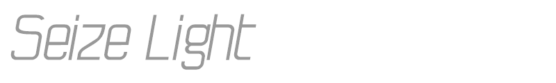 Seize Light