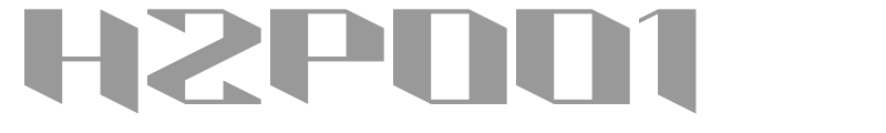 HZP001