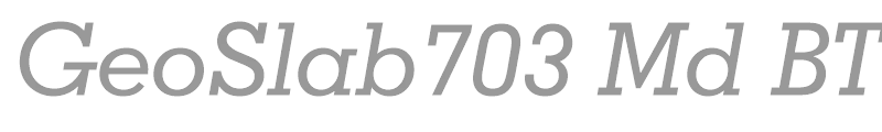 GeoSlab703 Md BT