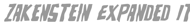 Zakenstein Expanded Italic