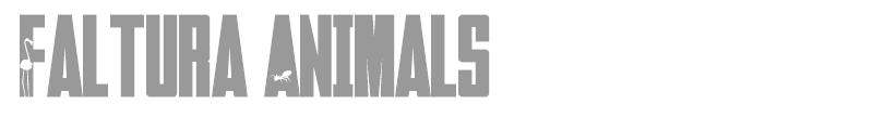 Faltura Animals