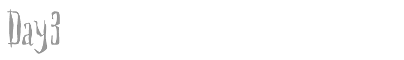 Day3
