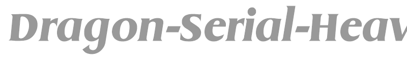Dragon-Serial-Heavy