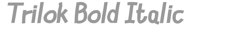 Trilok Bold Italic
