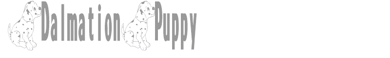 DalmationPuppy