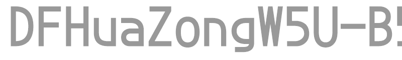 DFHuaZongW5U-B5