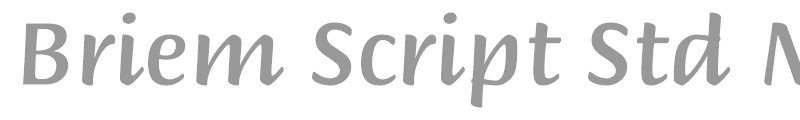 Briem Script Std
