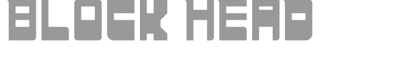 BLOCK HEAD