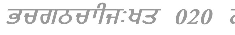 GurmukhiLys 020 Bold Italic
