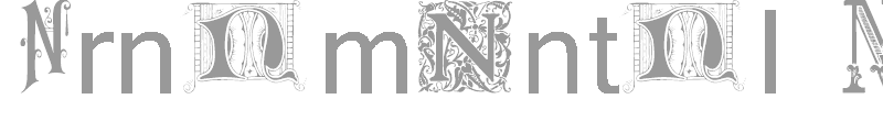 Ornamental Initials N