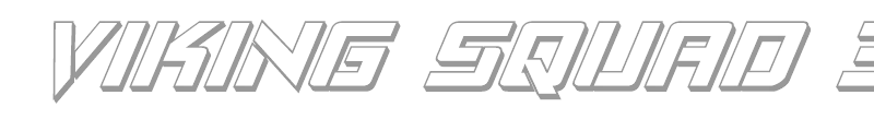 Viking Squad