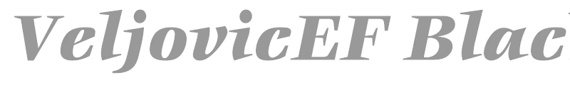 VeljovicEF