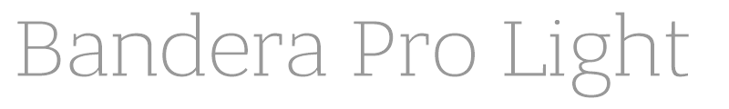 Bandera Pro Light