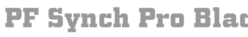 PF Synch Pro Black