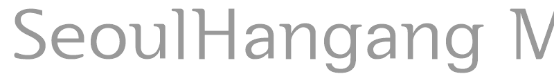SeoulHangang M