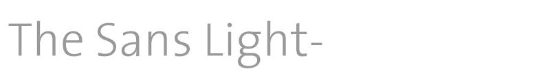 The Sans Light-