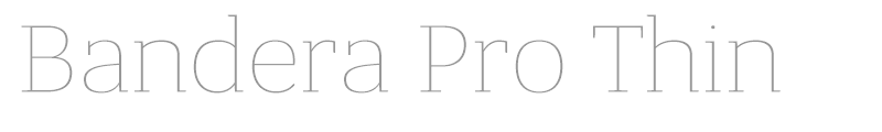 Bandera Pro Thin