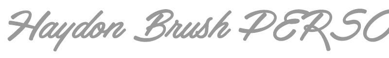 Haydon Brush