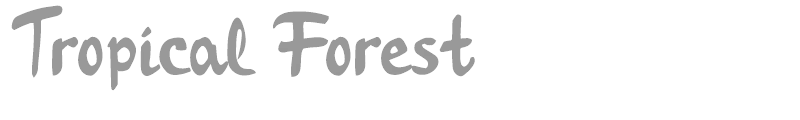 Tropical Forest