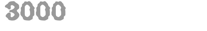 3000