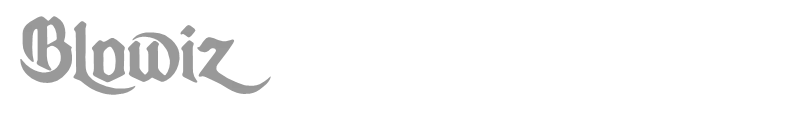 Blowiz