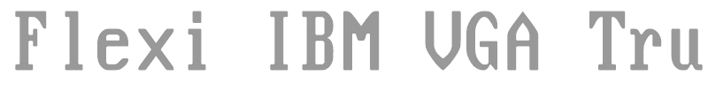 Flexi Ibm Vga True