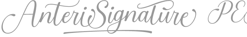 Anteri Signature