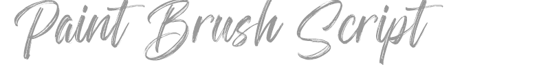 Paint Brush Script