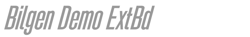 Bilgen - Demo