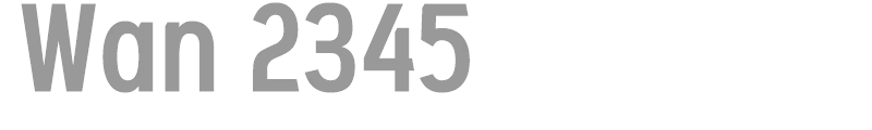 Wan 2345
